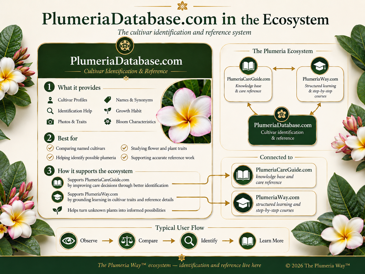 PlumeriaDatabase.com role in the Plumeria ecosystem