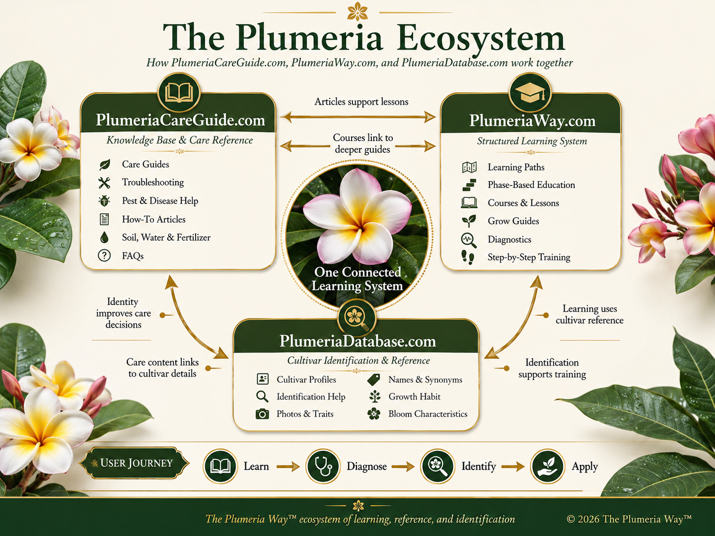Overview of the Plumeria ecosystem connecting PlumeriaCareGuide.com, PlumeriaWay.com, and PlumeriaDatabase.com