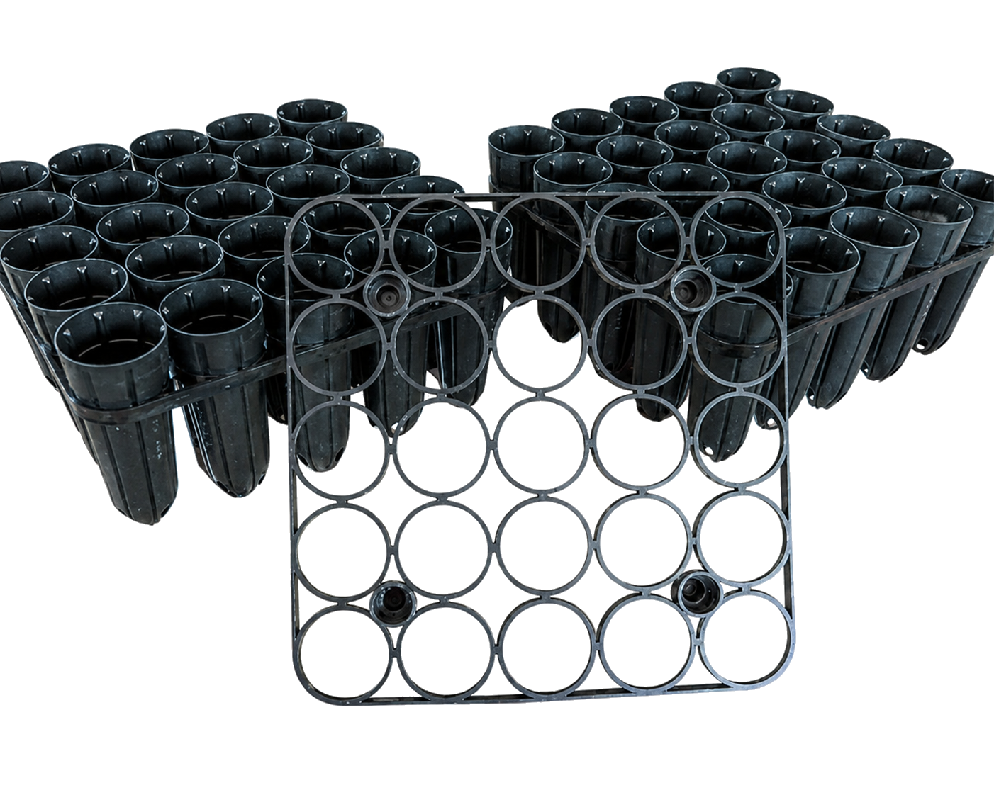 Black rooting tubes held upright in a support rack for starting plumeria cuttings